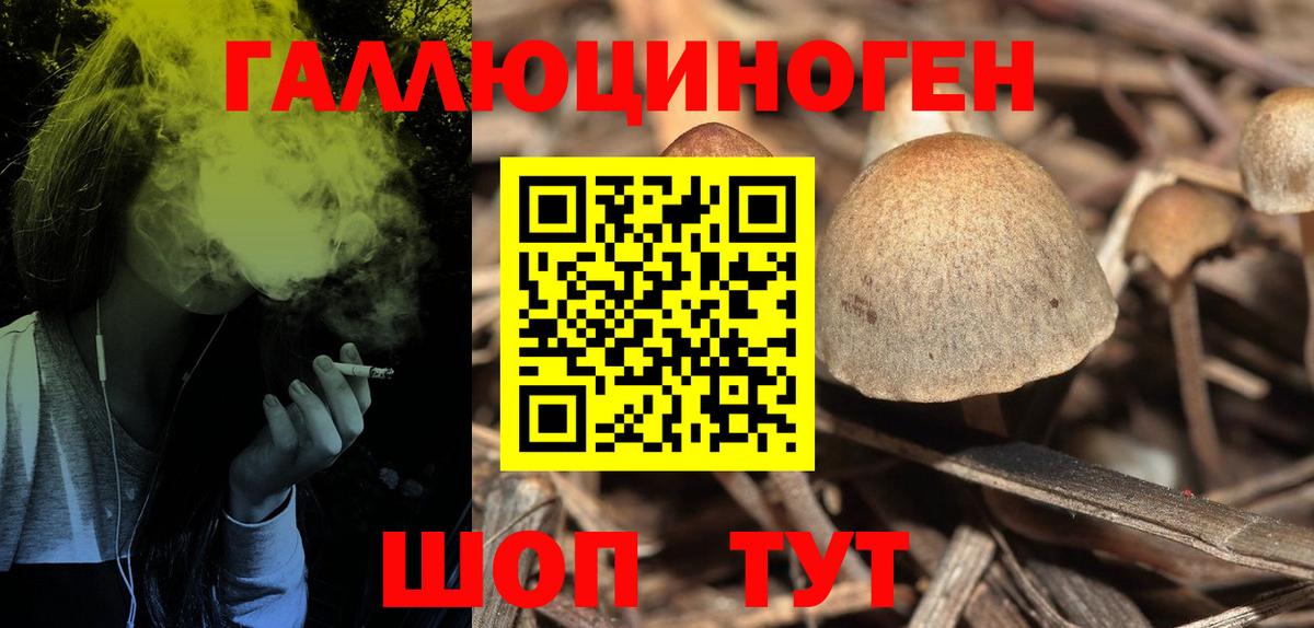 Воткинск  Галлюциногенные грибы Cubensis  Вход с VPN  Псилоцибиновые грибы MAGIC MUSHROOMS 